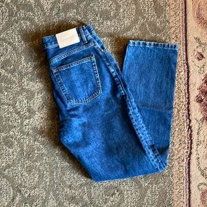 Everlane 90s cheeky jean 25R